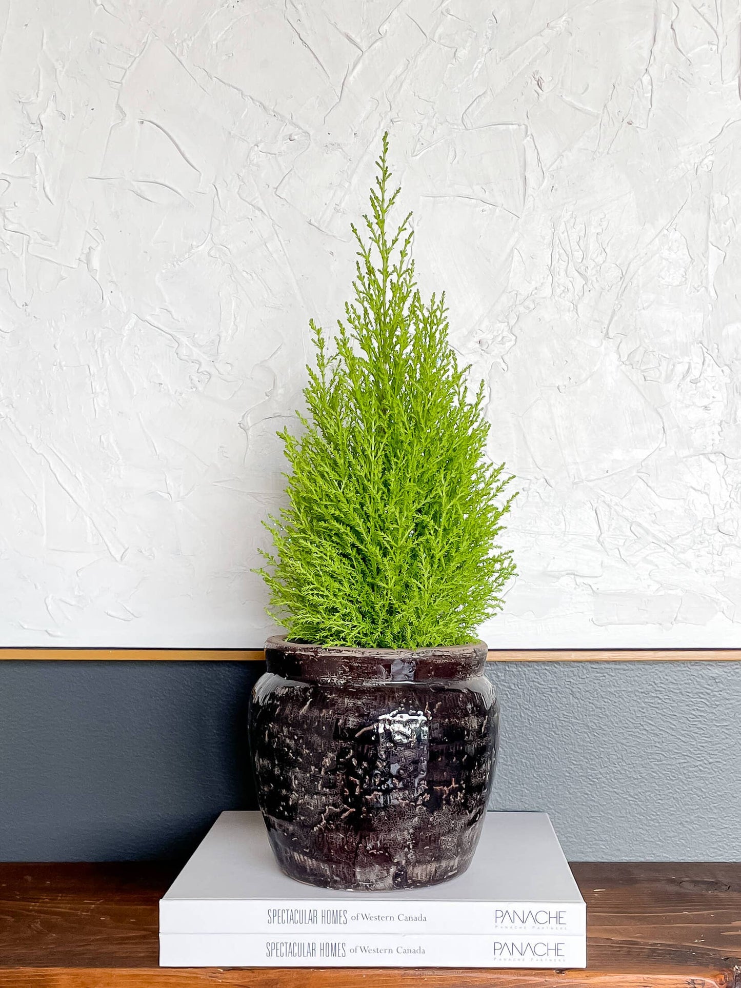 Glossy terracota pot