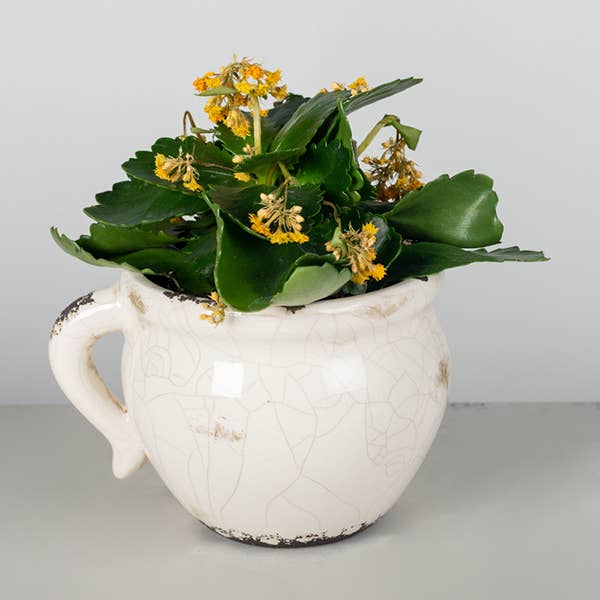 Glazed Ceramic Flower Pot