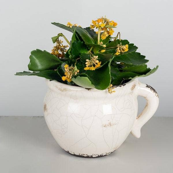 Glazed Ceramic Flower Pot