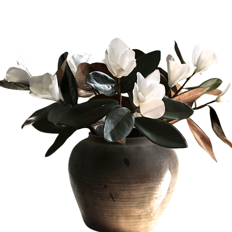 Magnolia Flowers with Leaves
