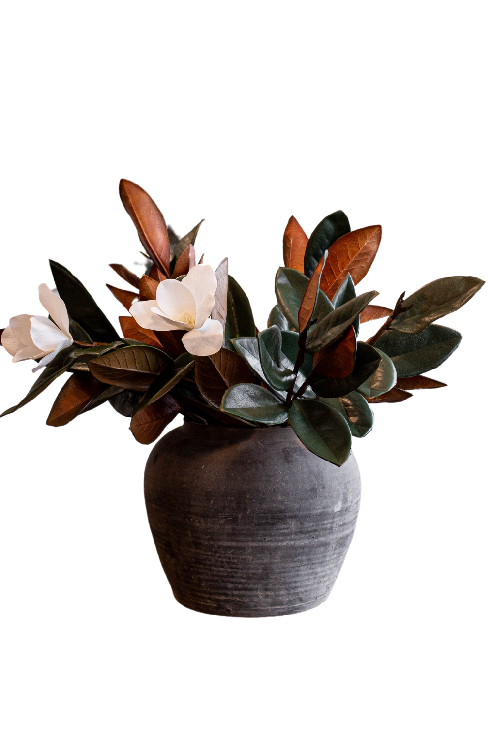 Magnolia Flowers with Leaves