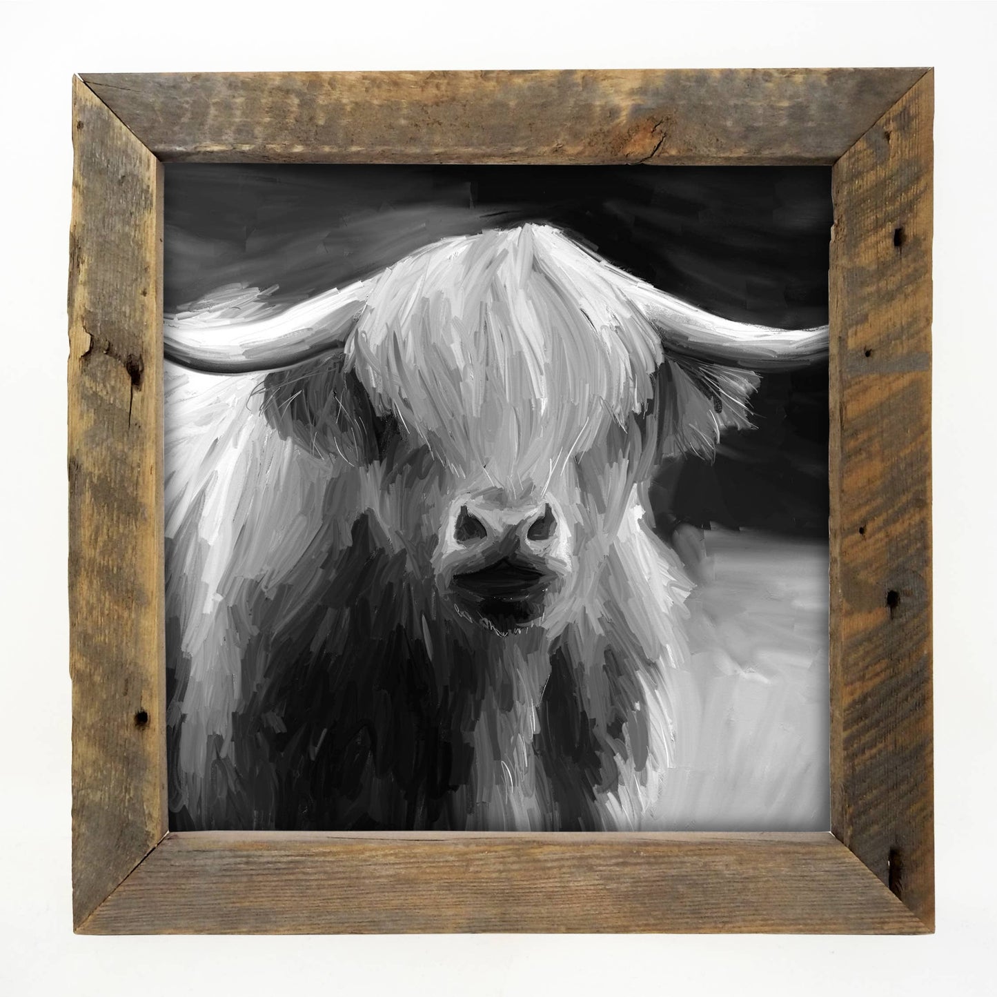 Highland Cow