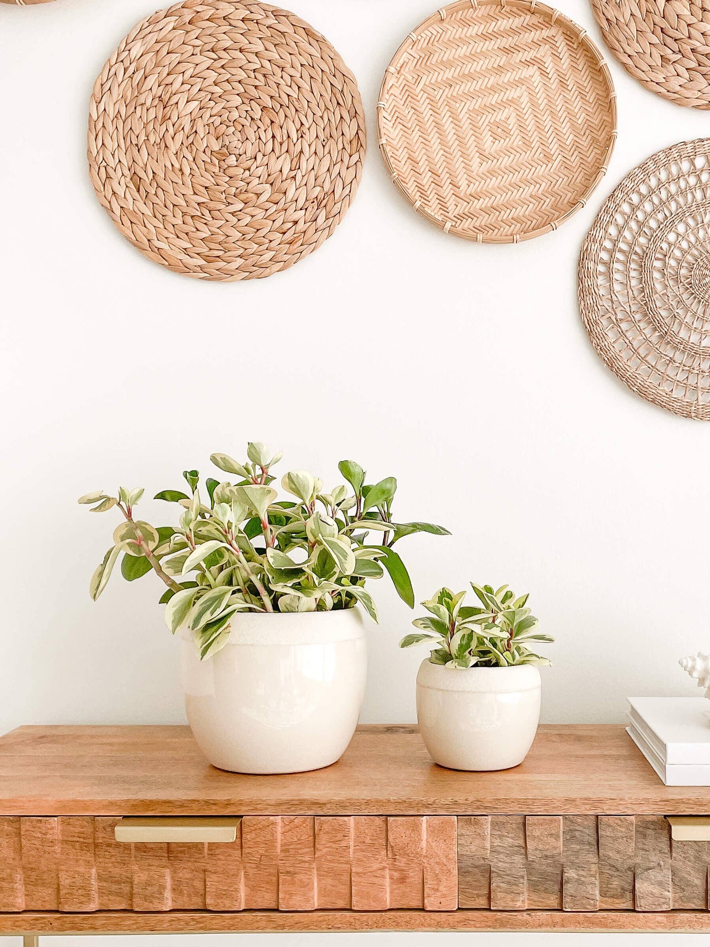 Maya glossy planter