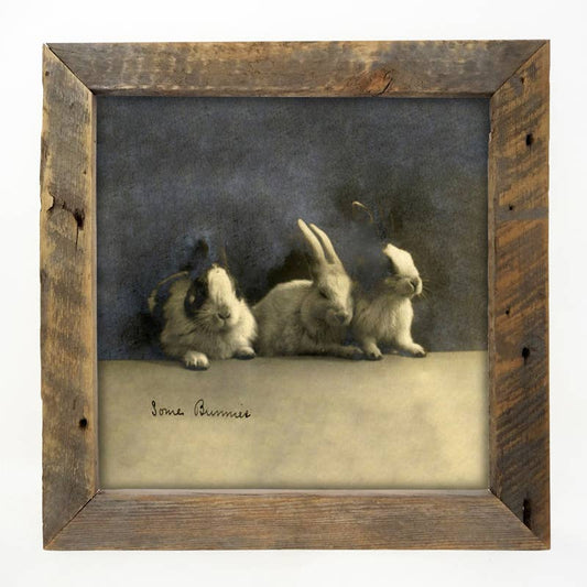 Some Bunnies