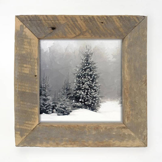 Snowy forest