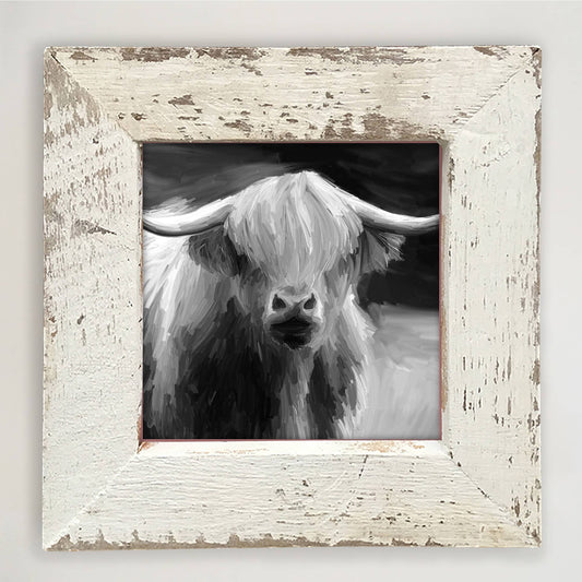 Highland Cow